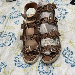 Shoes from shoedazzle in great condition.